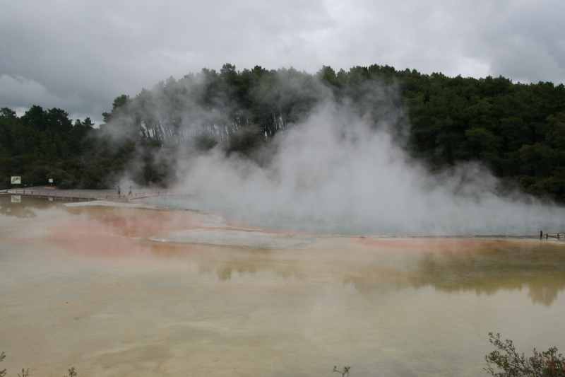 Nieuw-Zeeland 2011 - 0751